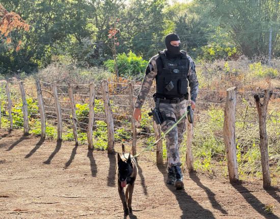 Ação integrada no interior do Piauí prende cinco suspeitos e apreende drogas e munições