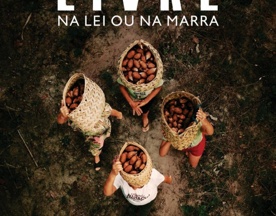 Documentário Babaçu Livre será lançado em Teresina nesta terça (22)