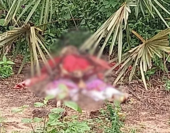 Corpo em decomposição é encontrado em matagal de Parnaíba