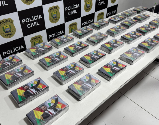DRACO apreende 30 tabletes de cocaína avaliados em R$ 3,5 milhões em operação em Teresina