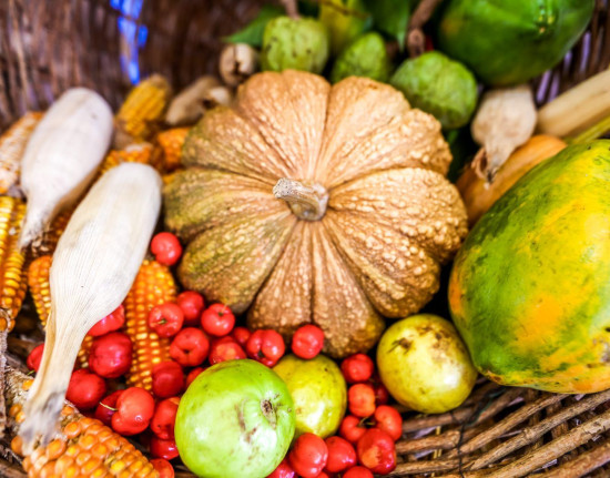 Agricultura familiar garante entrega de alimentos a 1.300 famílias