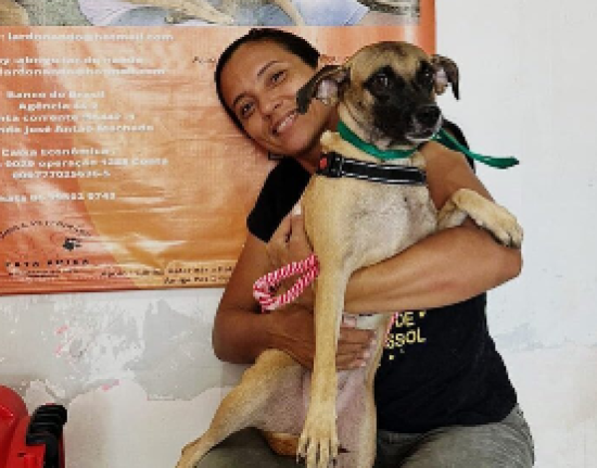 No último trimestre, foram realizadas 420 denúncias de maus-tratos a animais
