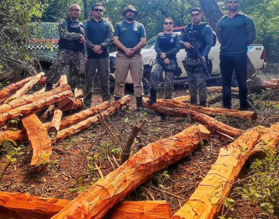 Operação combate desmatamento ilegal e aplica R$ 2 milhões em multas