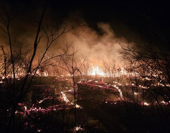 Brigadistas controlam incêndio de grandes proporções em Pimenteiras