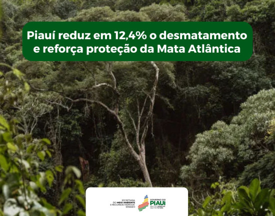 Piauí reduz em 12,4% o desmatamento e reforça proteção da Mata Atlântica