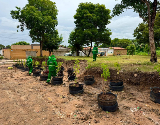 Grande Teresina ganha estratégia inédita para proteger biodiversidade e combater riscos climáticos
