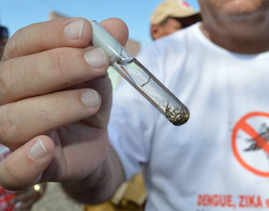 Teresina confirma dengue tipo 3 após anos sem registros
