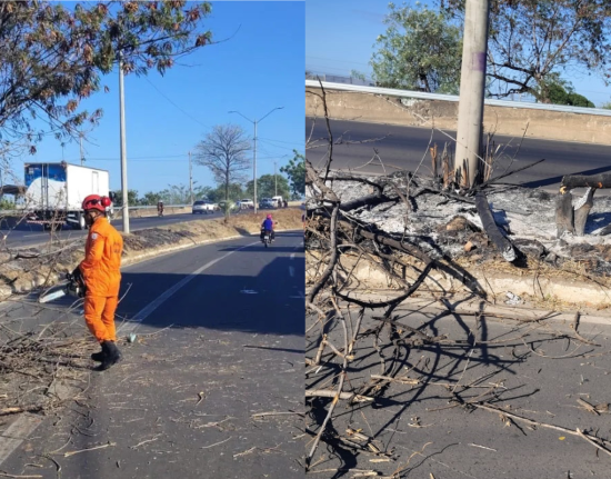 Motociclista fica ferida após queda de árvore em chamas na BR-316