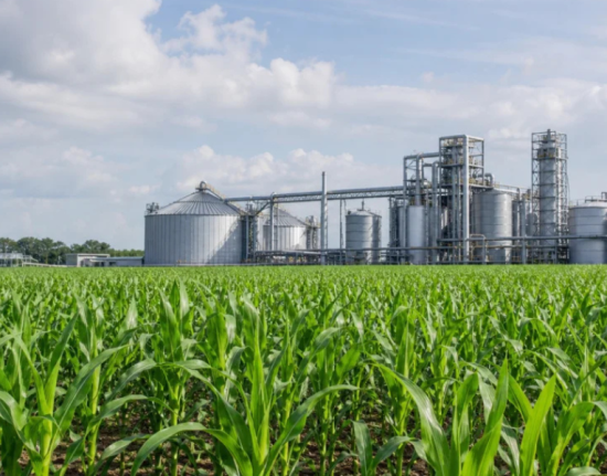 PEAGRO Summit terá palestra sobre produção de etanol de milho e agroindustrialização no Piauí