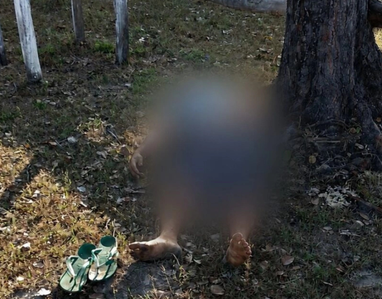 Homem é encontrado morto em área rural de Esperantina
