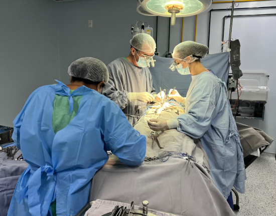 HGV realiza segundo transplante renal intervivo do ano no Piauí