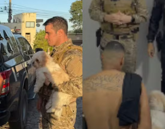 Cachorro acompanha tutor durante prisão e permanece ao lado dele durante ação policial em Teresina