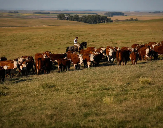 PIB do Brasil cresce 1,4% no 1º trimestre de 2025 pela agropecuária