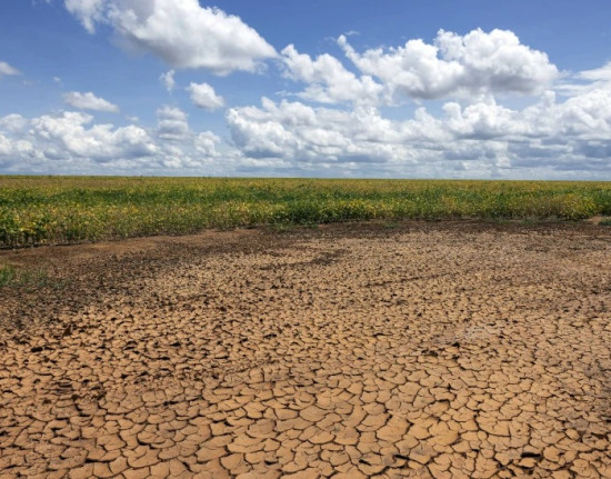 Avanço da seca no Piauí: Semarh lança ferramenta para acompanhar situação