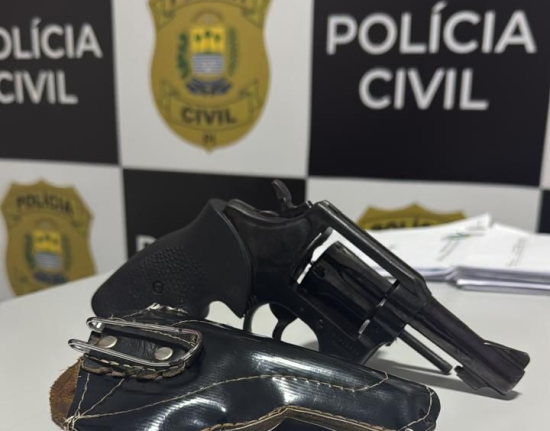 Polícia Civil prende homem por tráfico e posse ilegal de arma em Teresina