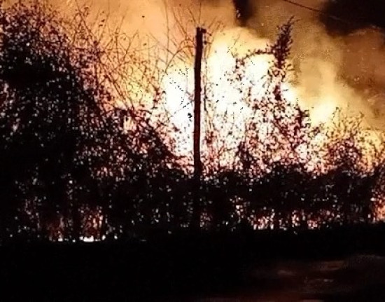 Incêndio atinge extensa área de vegetação em Monsenhor Gil
