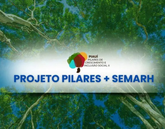 Piauí lança seletivo para consultores em prevenção a incêndios florestais