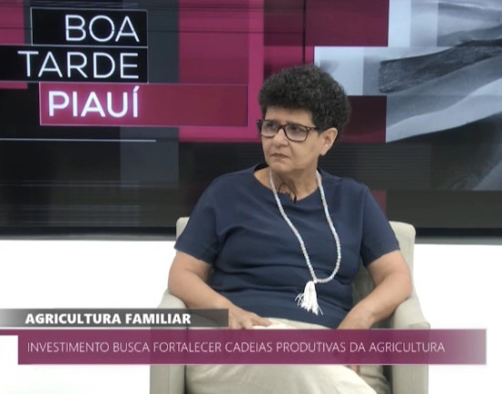 Investimentos na agricultura familiar fortalecem renda de produtores no Piauí
