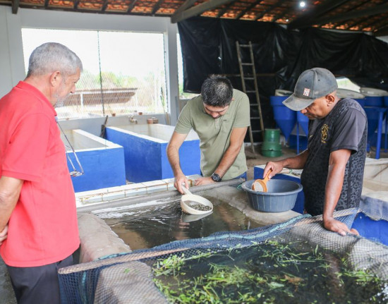 Distribuição de alevinos beneficia mais de duas mil famílias de agricultores no Piauí