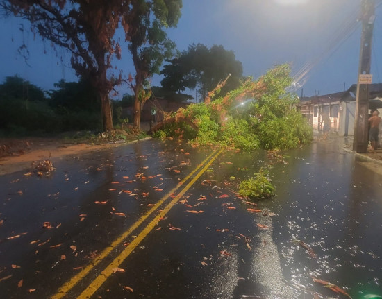 Forte chuva provoca alagamentos, quedas de árvores e transtornos em Teresina