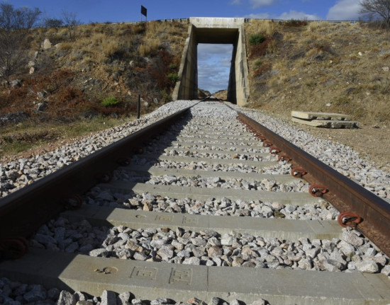 Transnordestina inicia testes de operação entre Piauí e Ceará nesta quinta-feira