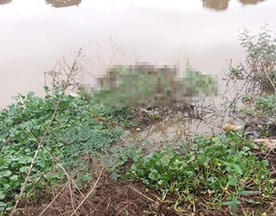 Corpo de homem é encontrado no Rio Poti, na zona Norte de Teresina