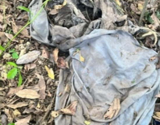 Ossada humana é encontrada nas proximidades da Ponte da Amizade