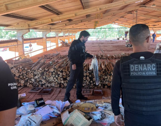 DENARC incinera 200kg de drogas em operação