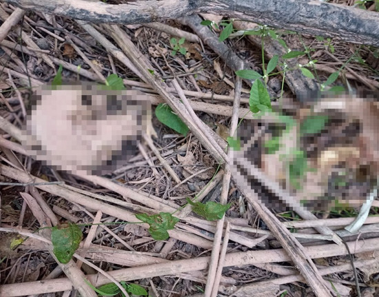 Ossada humana é encontrada em área de mata em Teresina