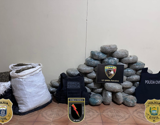 Quatro pessoas são presas e 83 kg de maconha apreendidos na BR-407