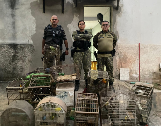 Operação Canto Livre resgata 70 animais silvestres no Norte do Piauí