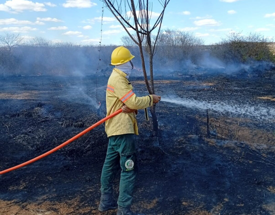 Brigadistas controlam incêndio de grande proporções em Bom Jesus