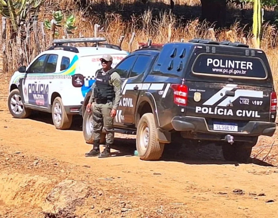 Corpo em estado de decomposição é encontrado em mata em Pajeú