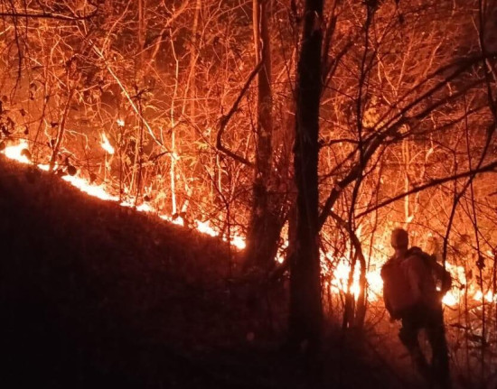Brigadistas controlam incêndio no sul do Piauí