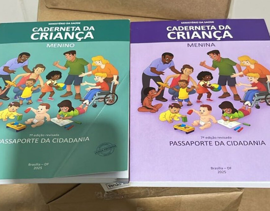 Sesapi distribui mais de 44 mil Cadernetas da Criança para o Piauí