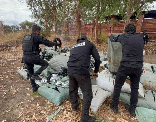 Polícia Civil e PMPI incineram 1,5 tonelada de drogas apreendidas