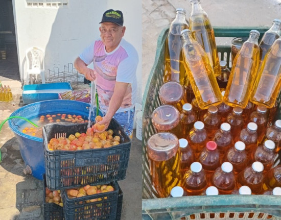 Festival da Cajuína celebra cultura e empreendedorismo no Piauí