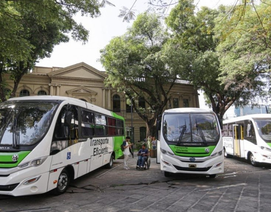Cadeirantes terão transporte gratuito para evento do Dia da Pessoa com Deficiência