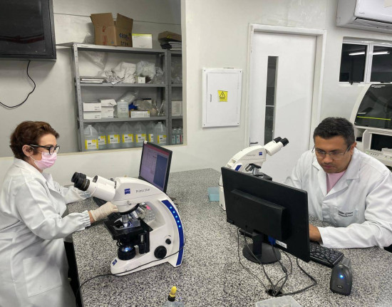 Gestantes passam a realizar exame de HTLV durante o pré-natal nas UBSs