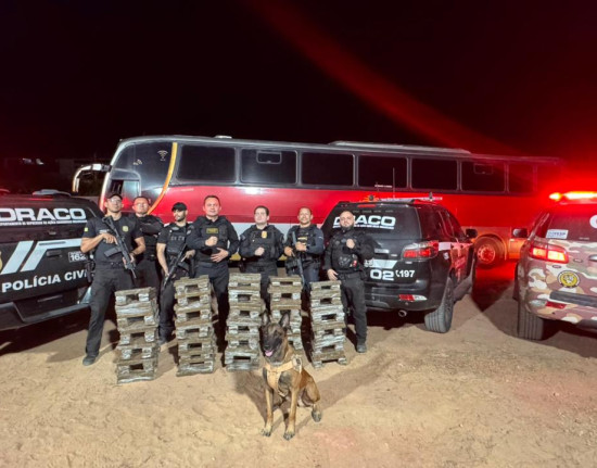 Polícia apreende 250 kg de skank e prende dois suspeitos em Bom Jesus