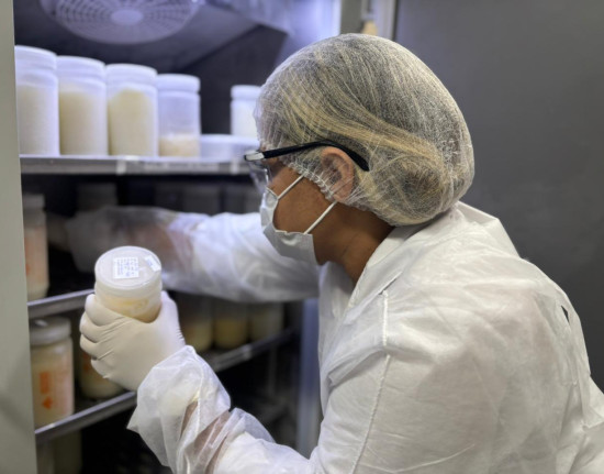 Banco de Leite da Nova Maternidade registra mais de 49 mil atendimentos