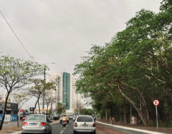 Piauí tem alerta para chuvas intensas e ventos fortes em 131 municípios