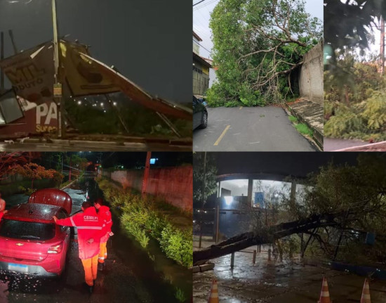 Chuva intensa provoca alagamentos e quedas de árvores em Teresina