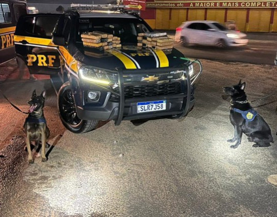 PRF apreende quase 34 kg de maconha em ônibus na BR-343