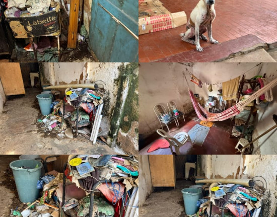 Idosa e 10 animais são resgatados em operação contra negligência