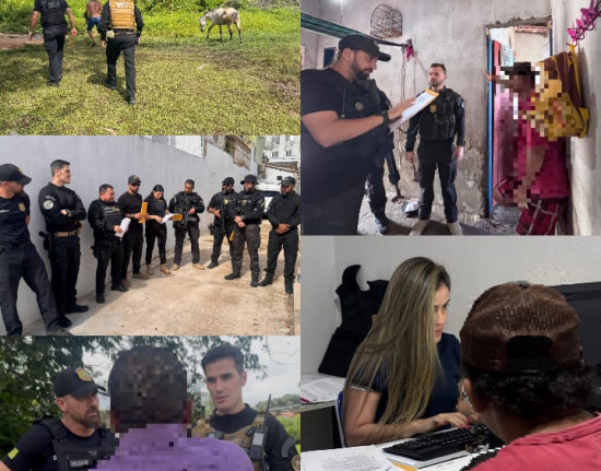 SSP realiza operação para coibir animais soltos e reduzir acidentes em Floriano