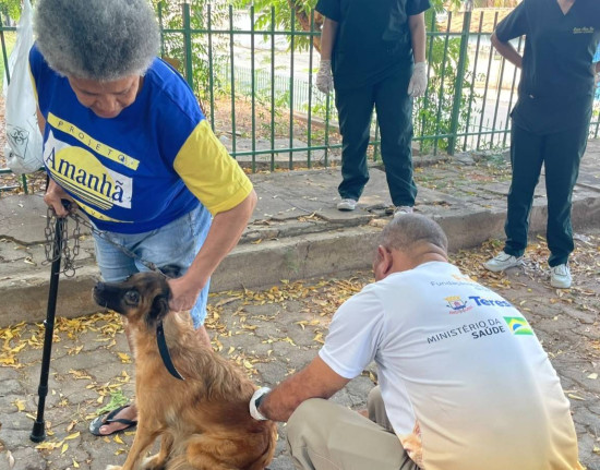 Teresina antecipa campanha antirrábica e vacinação ocorrerá