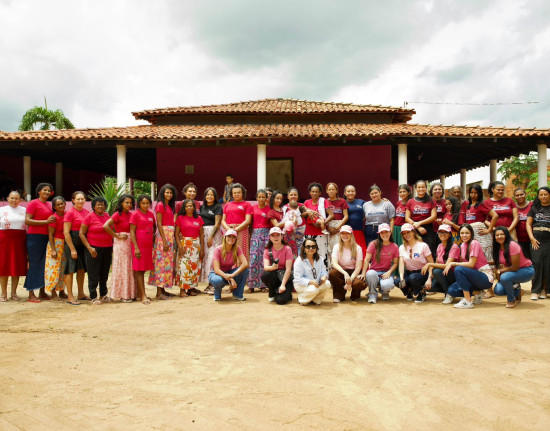 PL Mulher promove ação do Março Lilás em Teresina