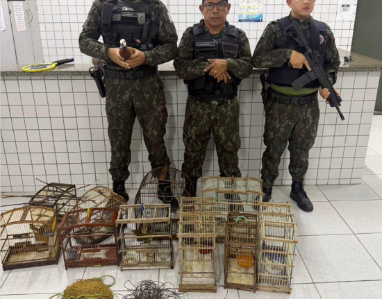 PM-PI realiza a apreensão de 40 aves silvestres em Buriti dos Lopes, no Norte do Piauí