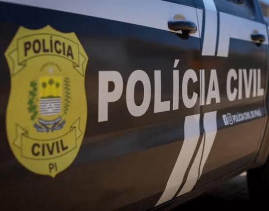Suspeito de série de furtos e arrombamentos é preso pela Polícia Civil no município de Altos